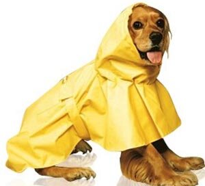Dog_Raincoat